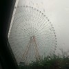 情殇双鱼