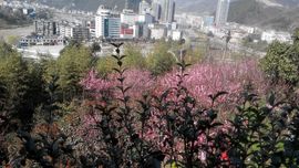 翼翔海天健身队主播照片