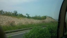 寂寞人生j主播照片