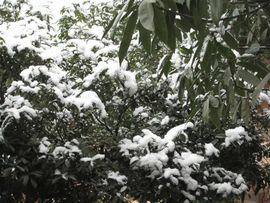 翼翔海天健身队主播照片