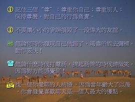 高情商的人好命主播照片