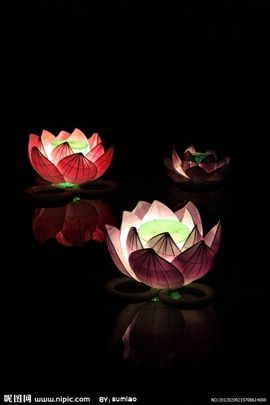 为爱♥♡灬停留主播照片