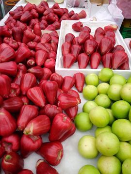 apple雨薇主播照片