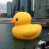 ...7rg海报