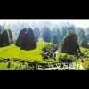 純之柜的頭像