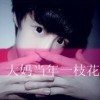 ✎﹏Dreamisy海报