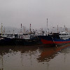 一生何求qi