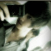 张、小涛（）