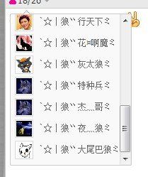 傲娇的胖胖猫的图片