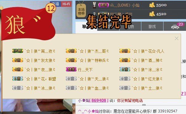 傲娇的胖胖猫的图片