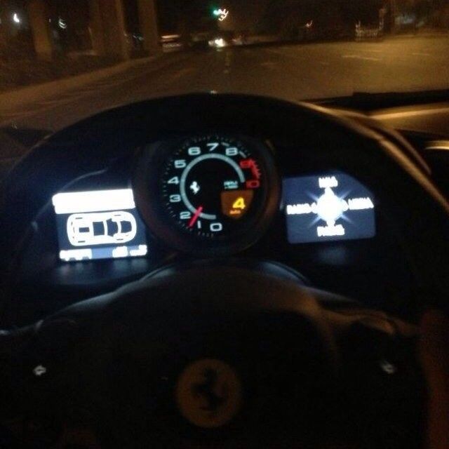 傲娇的胖胖猫的图片