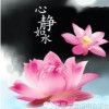 凤梧龙生海报