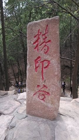 [无微]主播照片