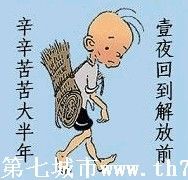 因为酷；撞倒树主播照片