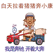 因为酷；撞倒树主播照片