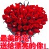 风雨同舟bx海报