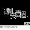 东北特技阿东