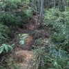 厚愛無需多言
