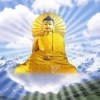 胖哥哥p