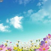 微信_1208541