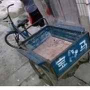 九天笑月的头像