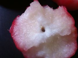 人生如闷主播照片