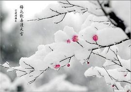 尼尔机械纪元主播照片