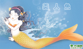 玫瑰花4113025主播照片