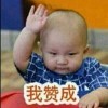 小东北d