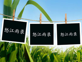 怒江雨主播照片