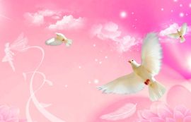 ღ夏目双心ღ主播照片