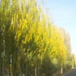 小冤家4