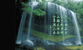 heartas止水主播照片