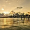 蝉鸣s海报