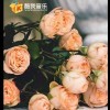 一个人的心很难懂