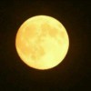 🌜月儿明🌛