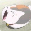 猫咪先生丶海报