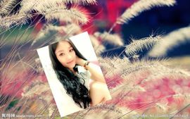 紫诺吖主播照片