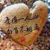 CY↘Y