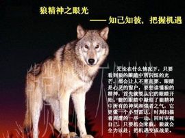 心⑥随②你⑨远⑨行主播照片