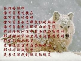 心⑥随②你⑨远⑨行主播照片