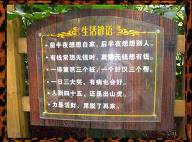 9527豪情主播照片