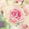 ♀伤心女人~怎么了♂海报