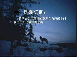 9527豪★情主播照片