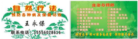 幸运的智慧主播照片