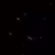 快到碗里来玩..