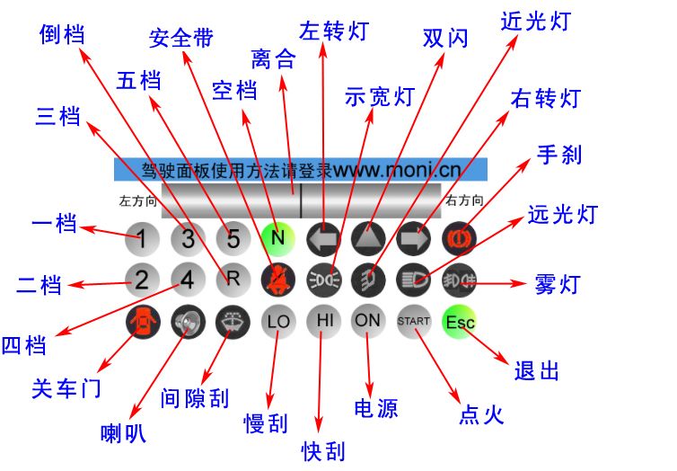 Haleyhg的主播照片