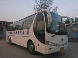 dove110227主播照片