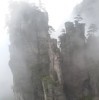 不懂问问额