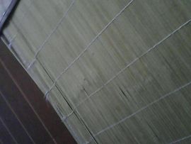 吵产立法主播照片